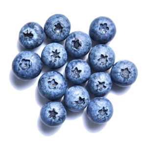 blueberry-individualLG