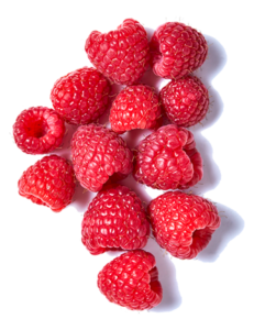 raspberry-individualLG-flipped2 raspberry-individualLG-flipped2
